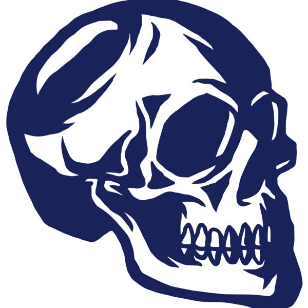 Elements Skulls logo template 139 Thumbnail