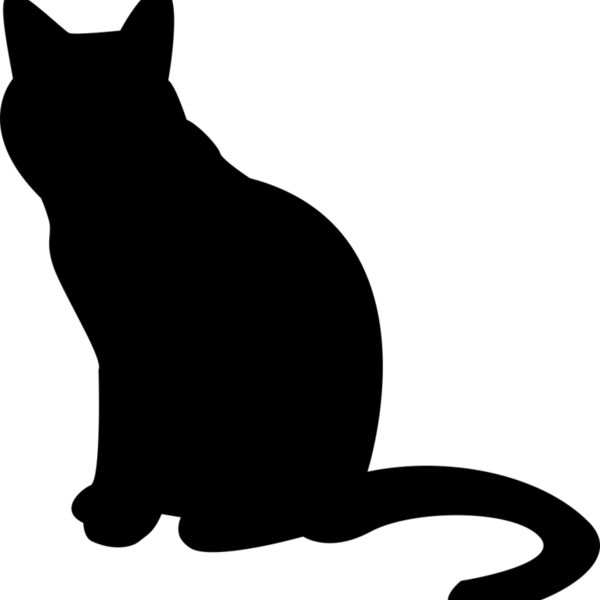 Cat Thumbnail