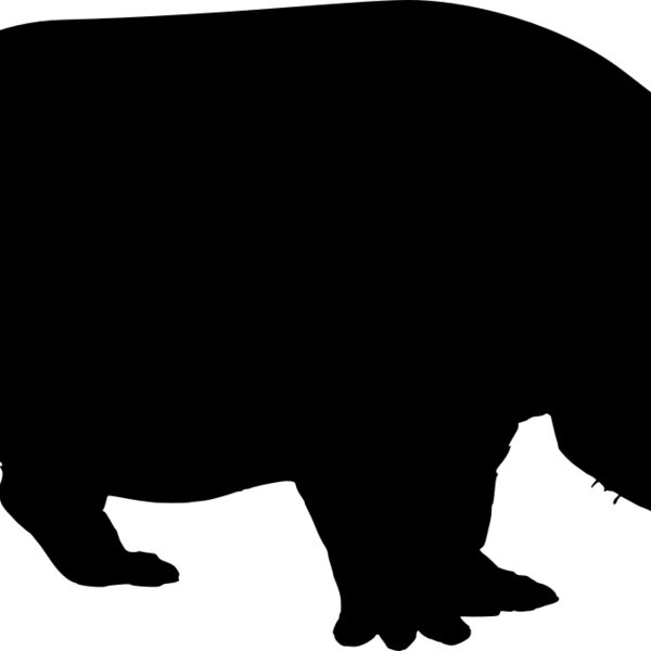 Hippopotamus   Clipart 1 Thumbnail