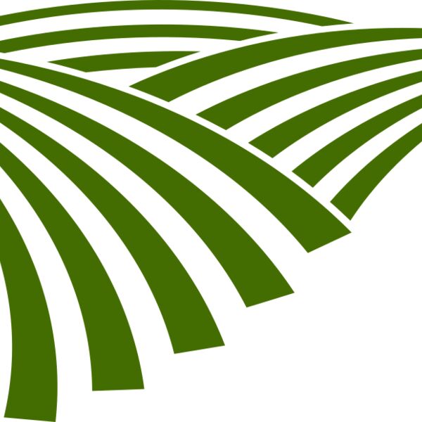 71 Rice Field Thumbnail