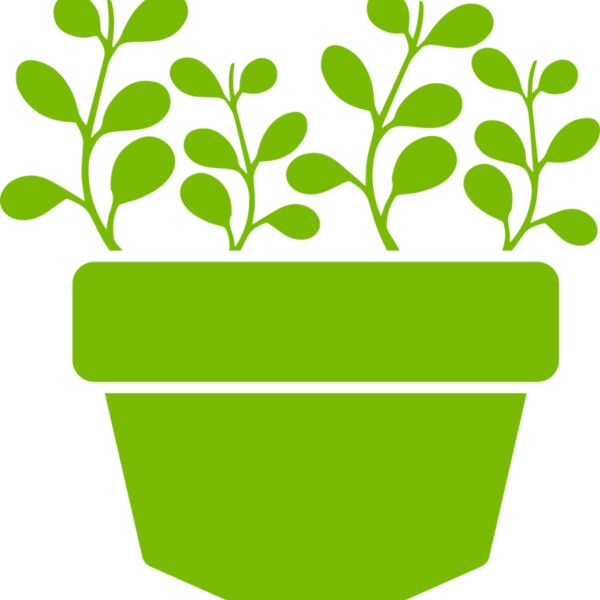 Succulent Plant 3 Thumbnail