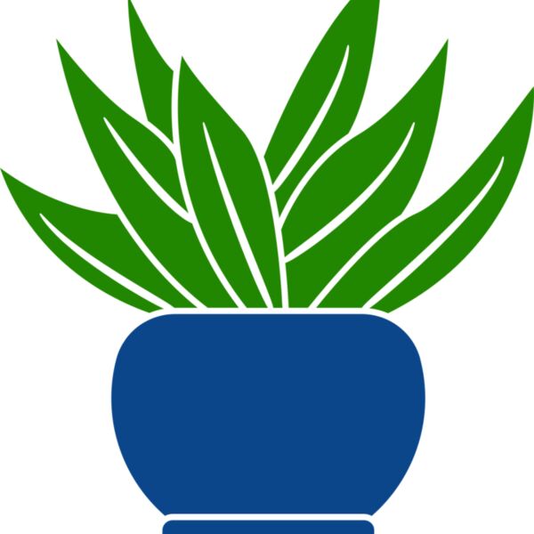 Succulent Plant 2 Thumbnail