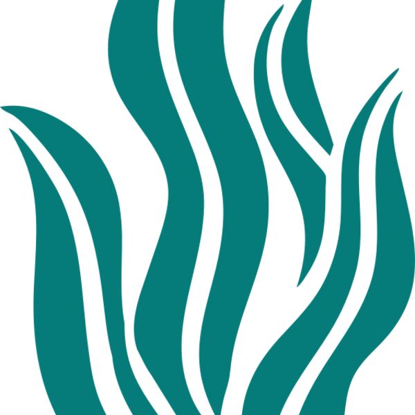 Sea Plants 6 Thumbnail