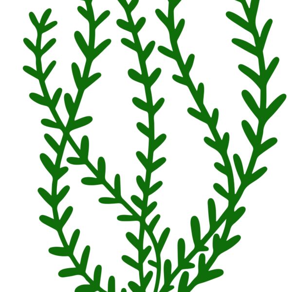 Sea Plants 3 Thumbnail