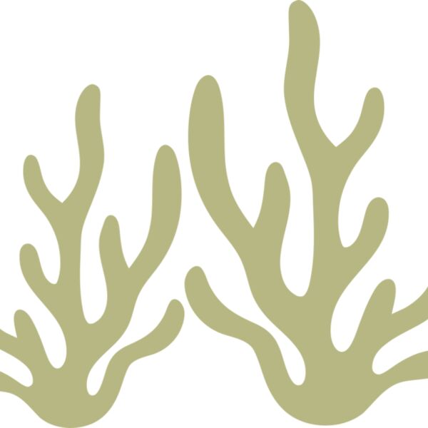 Sea Plants 2 Thumbnail