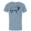 Bella+Canvas Unisex Triblend Short Sleeve Tee Thumbnail
