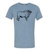 Bella+Canvas Unisex Triblend Short Sleeve Tee Thumbnail