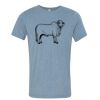 Bella+Canvas Unisex Triblend Short Sleeve Tee Thumbnail