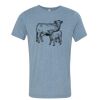 Bella+Canvas Unisex Triblend Short Sleeve Tee Thumbnail