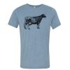 Bella+Canvas Unisex Triblend Short Sleeve Tee Thumbnail