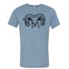 Bella+Canvas Unisex Triblend Short Sleeve Tee Thumbnail