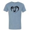 Bella+Canvas Unisex Triblend Short Sleeve Tee Thumbnail