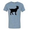 Bella+Canvas Unisex Triblend Short Sleeve Tee Thumbnail