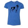 Bella+Canvas Youth Triblend Short Sleeve Tee Thumbnail