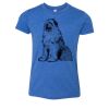 Bella+Canvas Youth Triblend Short Sleeve Tee Thumbnail