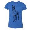 Bella+Canvas Youth Triblend Short Sleeve Tee Thumbnail