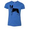Bella+Canvas Youth Triblend Short Sleeve Tee Thumbnail