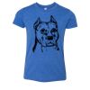 Bella+Canvas Youth Triblend Short Sleeve Tee Thumbnail