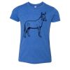 Bella+Canvas Youth Triblend Short Sleeve Tee Thumbnail