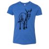 Bella+Canvas Youth Triblend Short Sleeve Tee Thumbnail