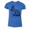 Bella+Canvas Youth Triblend Short Sleeve Tee Thumbnail