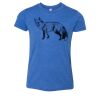 Bella+Canvas Youth Triblend Short Sleeve Tee Thumbnail