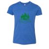 Bella+Canvas Youth Triblend Short Sleeve Tee Thumbnail