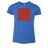 Bella+Canvas Youth Triblend Short Sleeve Tee Thumbnail