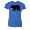 Bella+Canvas Youth Triblend Short Sleeve Tee Thumbnail