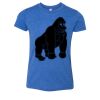 Bella+Canvas Youth Triblend Short Sleeve Tee Thumbnail