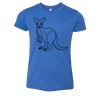 Bella+Canvas Youth Triblend Short Sleeve Tee Thumbnail