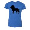 Bella+Canvas Youth Triblend Short Sleeve Tee Thumbnail