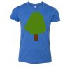 Bella+Canvas Youth Triblend Short Sleeve Tee Thumbnail