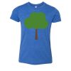 Bella+Canvas Youth Triblend Short Sleeve Tee Thumbnail